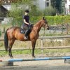 Babie Lato 2016